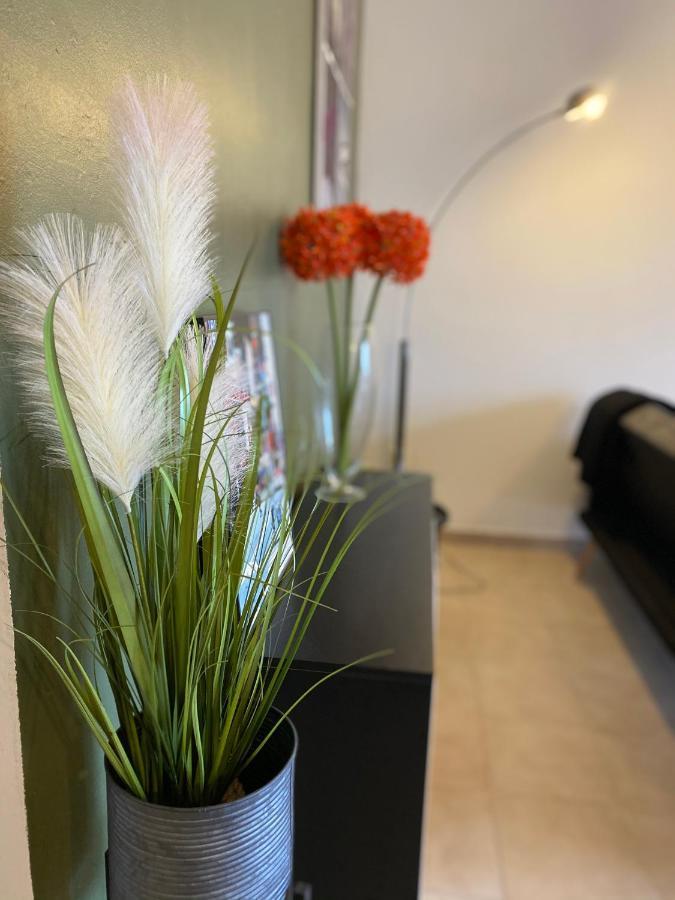 Appartements Vue Mer Saint-Florent (Corsica) Exterior foto